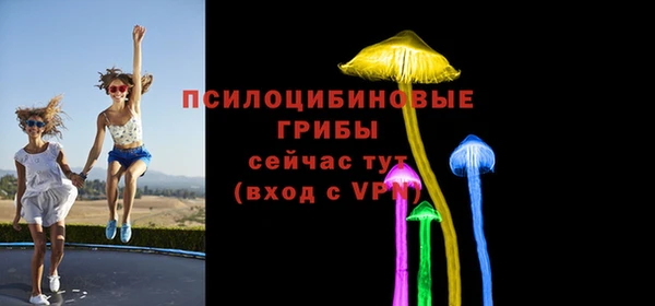 дурь Аркадак