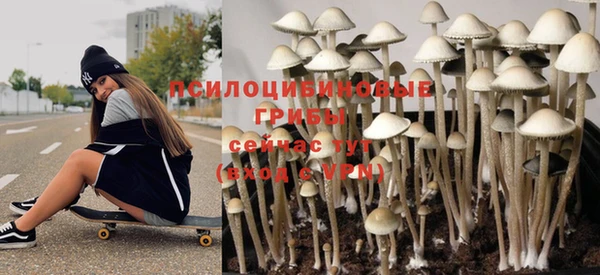 молекула духа Армянск