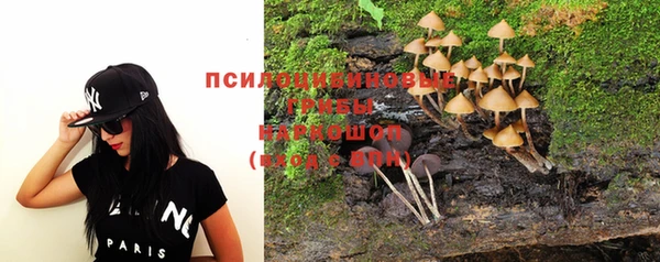 дурь Аркадак