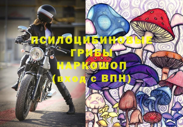 дурь Аркадак