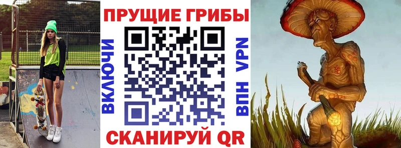 Псилоцибиновые грибы MAGIC MUSHROOMS  где можно купить наркотик  Николаевск-на-Амуре 